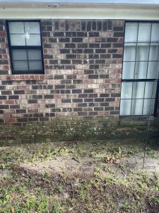 Pressure Washing Before 2