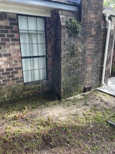 Pressure Wshing Before 1