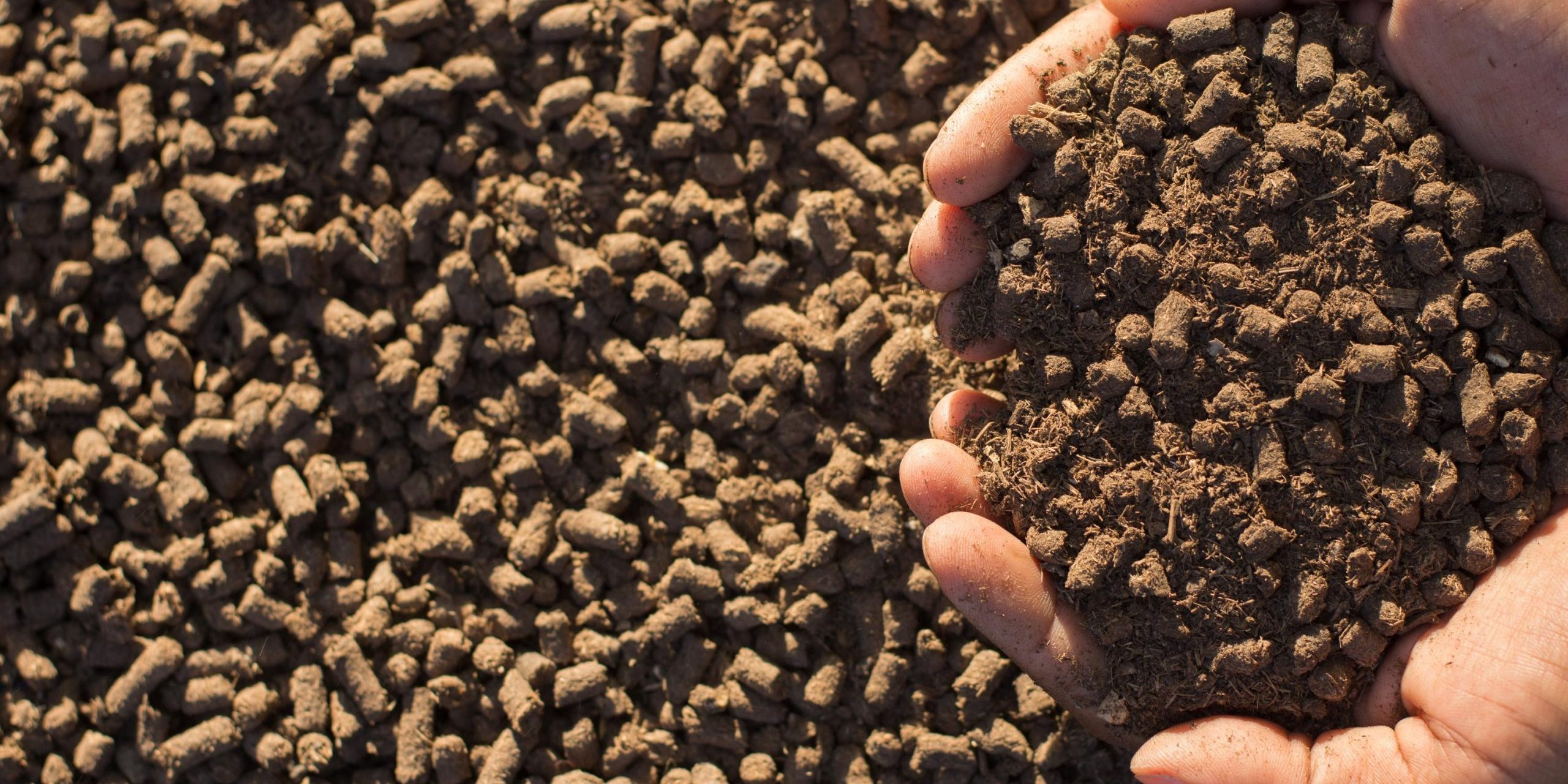 Adobestock 955169141