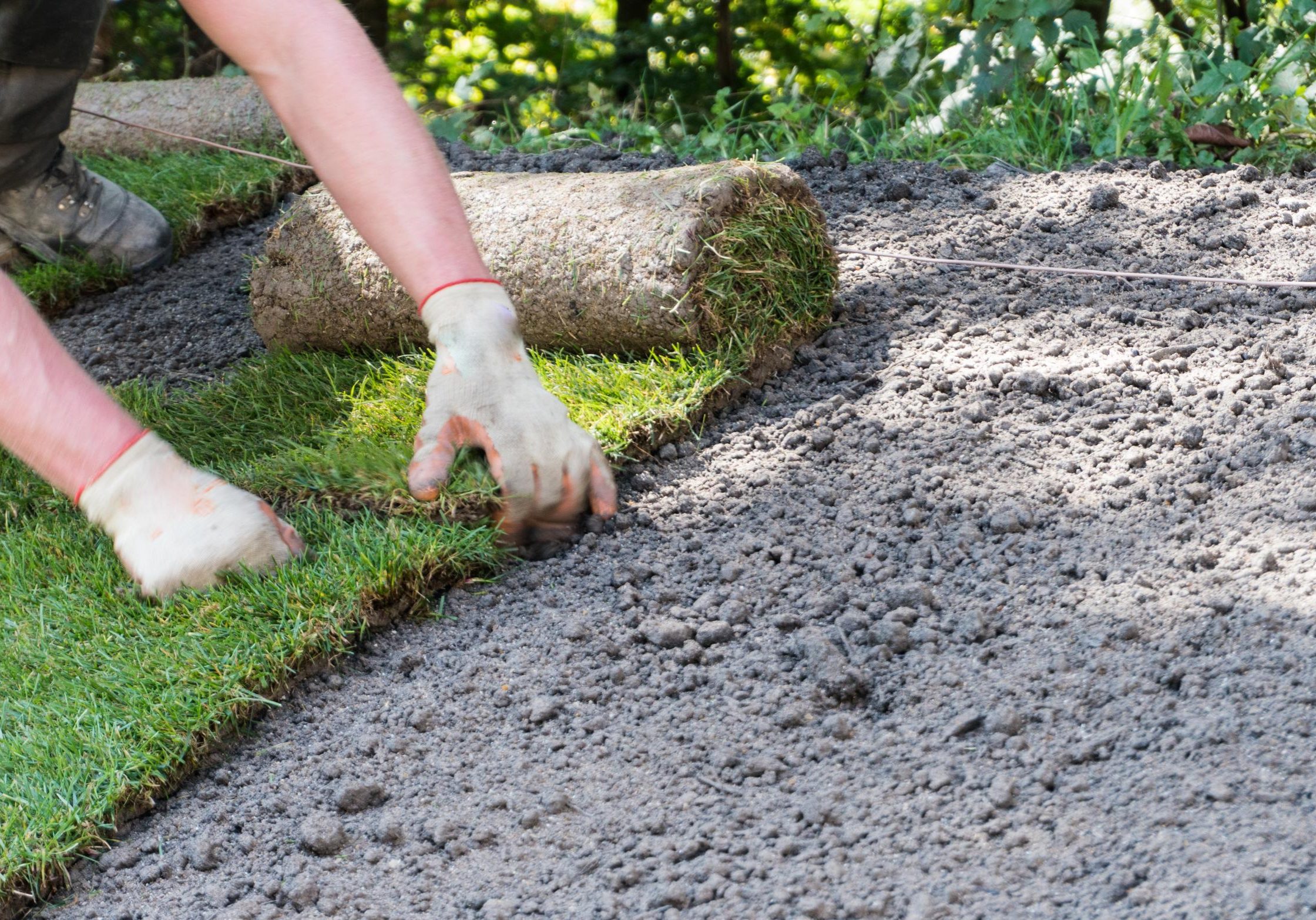 Northern Irrigation Of Greater Charleston (4)